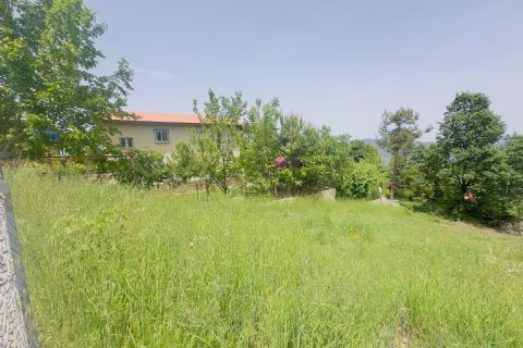 KARİZMA'DAN AYVAGEDİĞİNDE 536 M2 ARSA